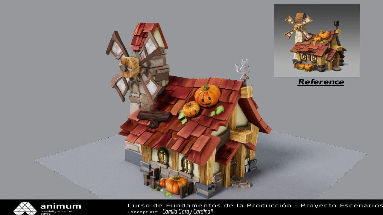 House model practice